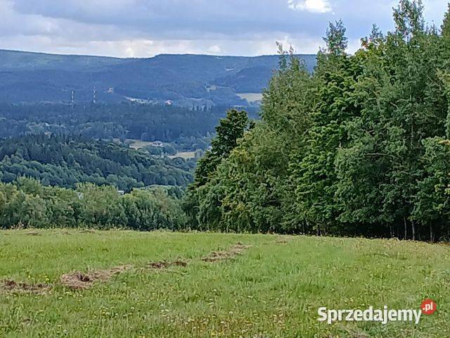 Na sprzedaż działka rolnobudowlana o powierzchni dolnośląskie Łężyce