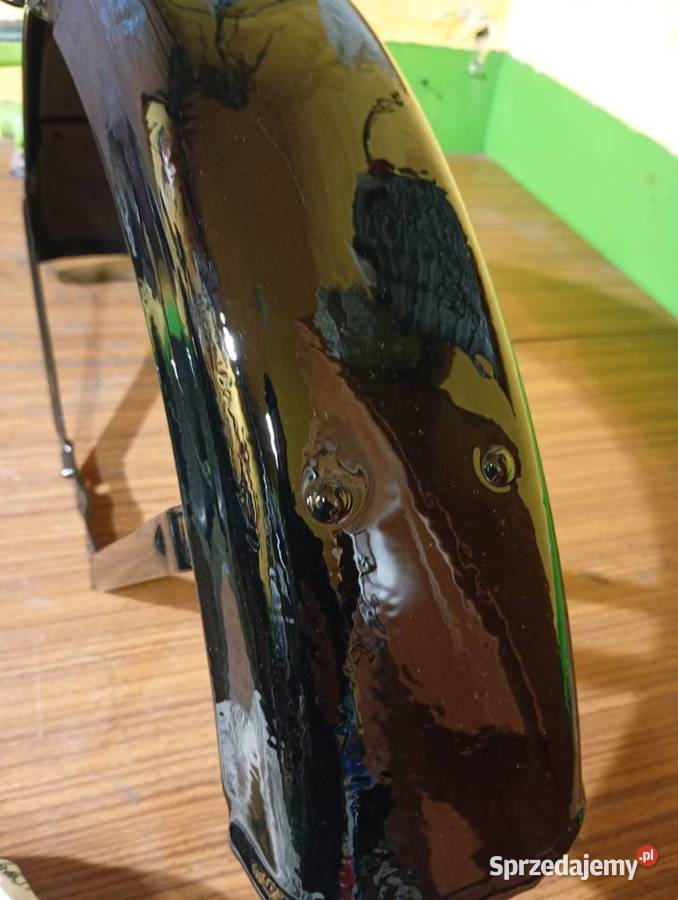 Błotnik wsk Pozostałe Ropczyce