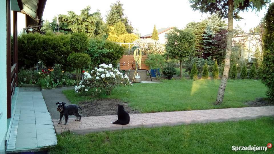 Działka rekreacyjna ROD Sierosław IV rekreacyjna