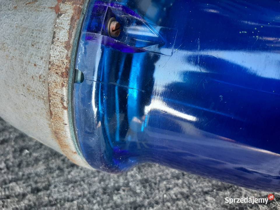 Kogut niebieski z PRLu Miłków