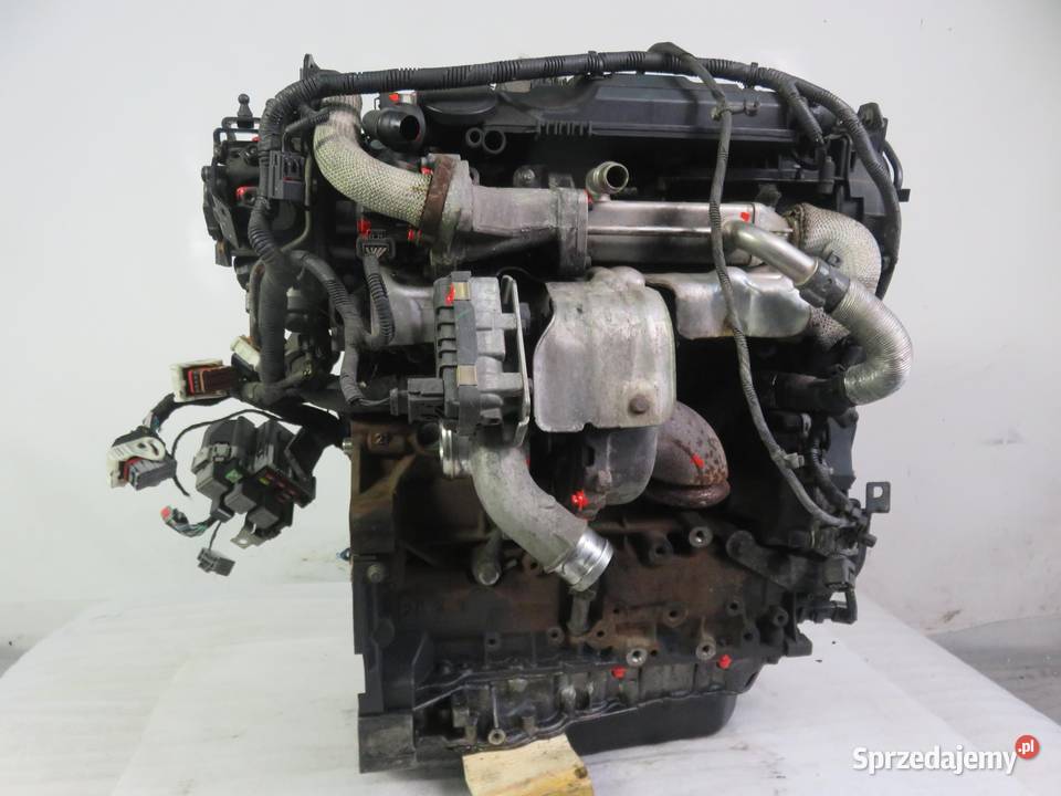 SILNIK FORD S I WA6 22 TDCi 175 Q4WA KOMPLETNY małopolskie