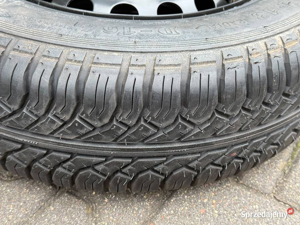 Opon letni lato mazowieckie Zalesie Górne