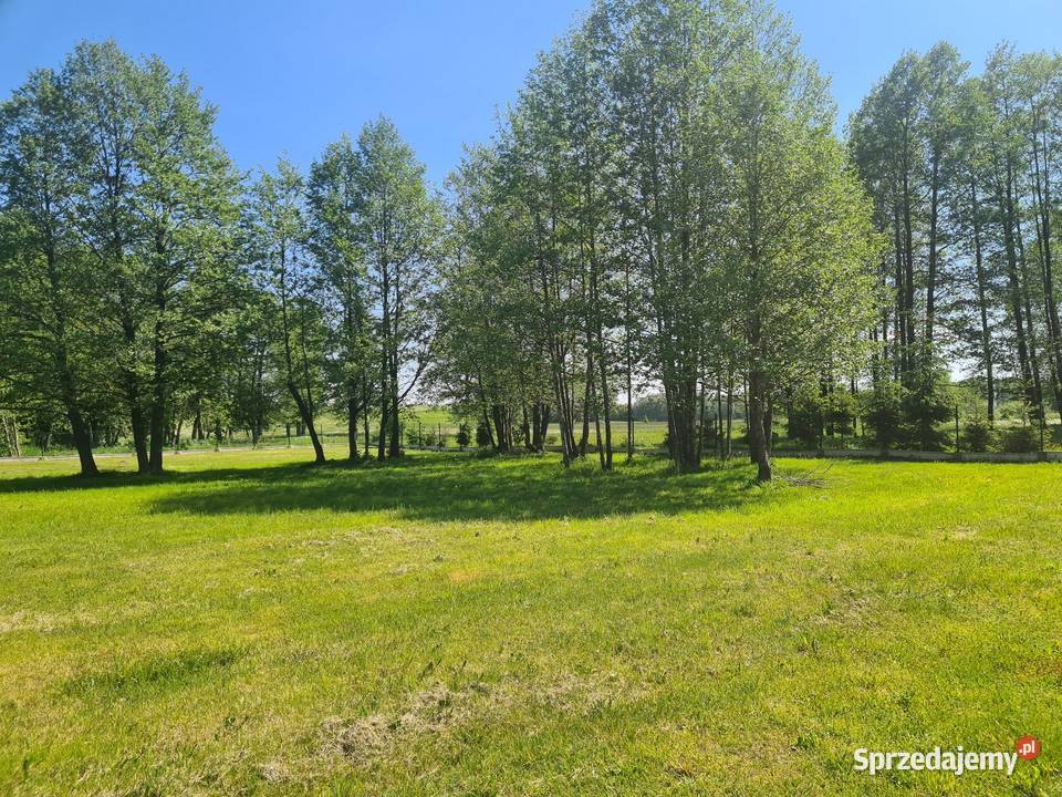 Na szlaku z mediami 215zł/m2 warmińsko-mazurskie Harsz