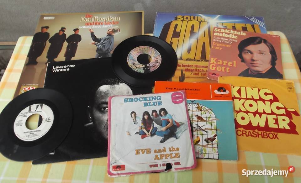 Płyty i Single Winylowe Sztuk 33 Cieszyn