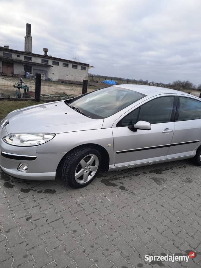 Sprzedam zamienię peugeot 407 16 diesel 2005 407 łódzkie Łękińsko