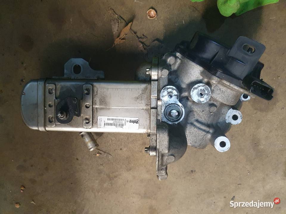 Zawór egr chłodnica 20 Hdi Tdci dolnośląskie Bogatynia sprzedam
