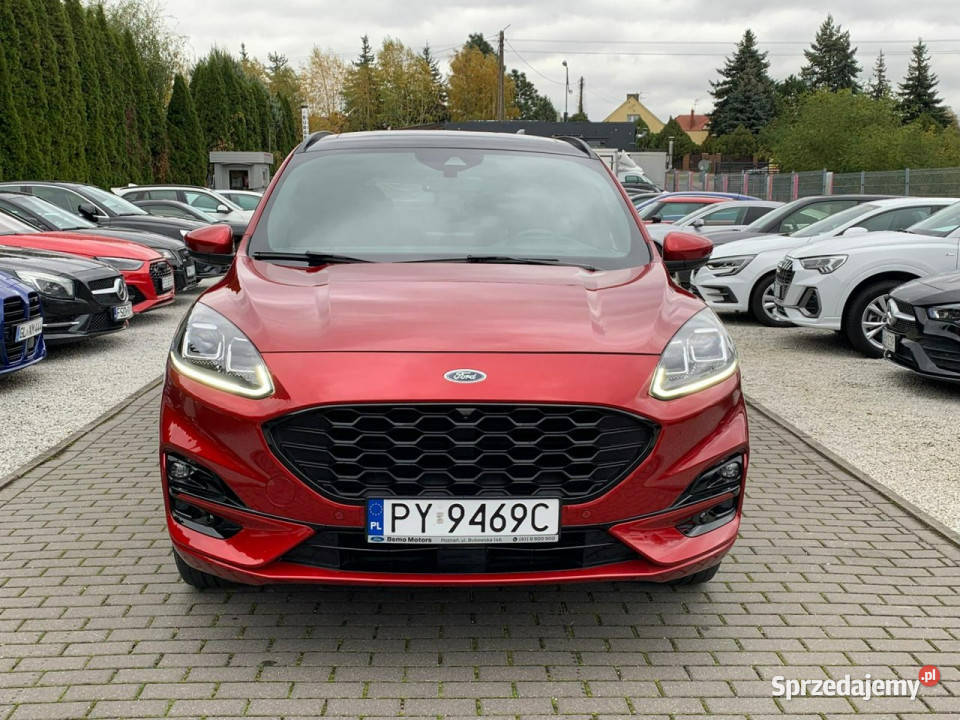 Ford Kuga 25 Duratec PlugIN STLINE Panorama Baranowo