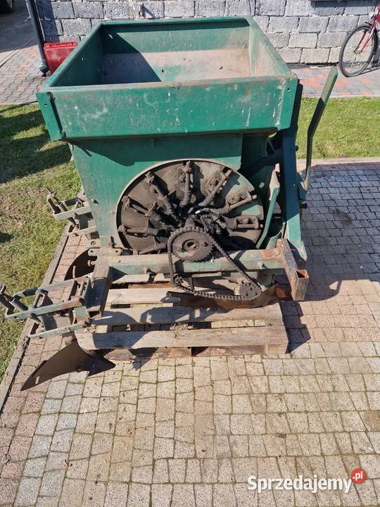 Sadzarka czeska Pszczyna