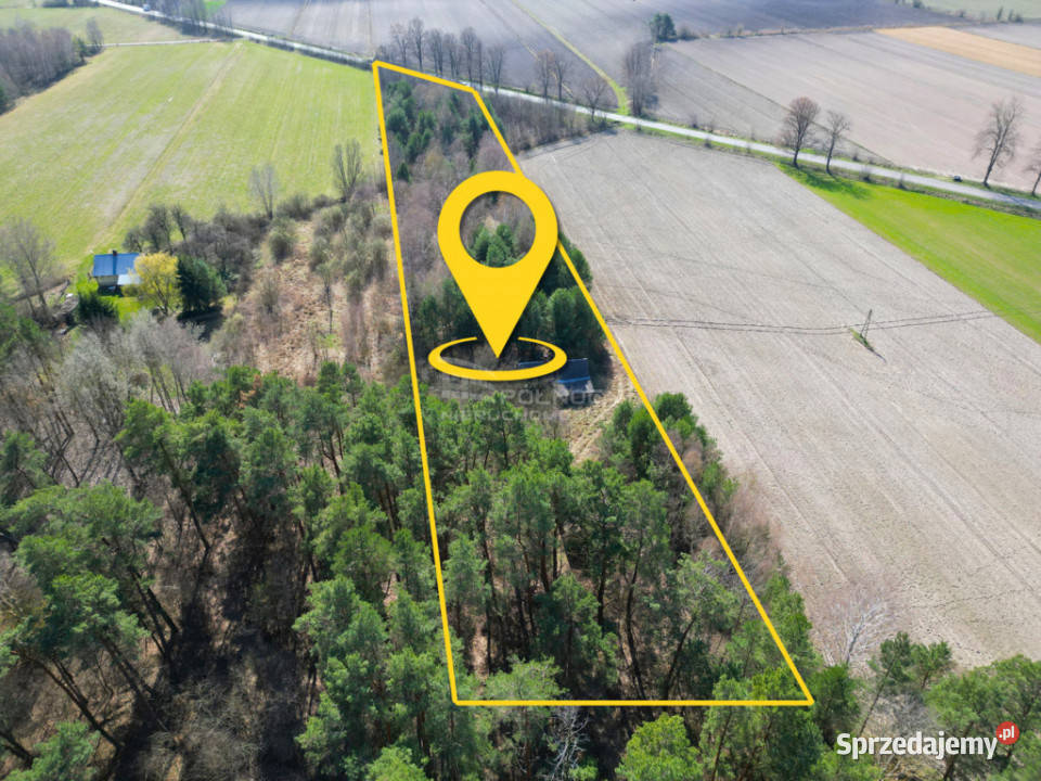 Działka z możliwościa zabudowy w Tucznej las Tuczna