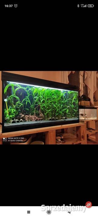 Sprzedam całość Choceń