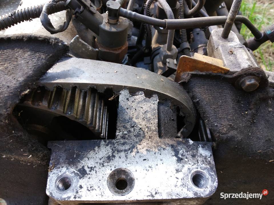 Silnik 19 dCi Renault Laguna II pęknięty pas Otwock sprzedam