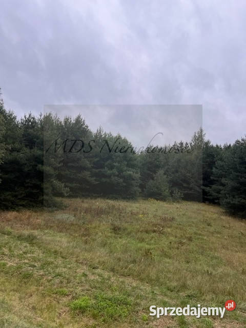 działka produkcja magazyny S 7 węzeł Powierż Górowo sprzedam