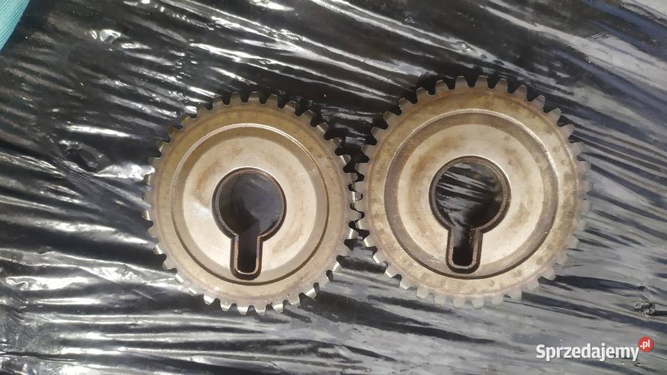 Nissan Murano Z50 35 v6 koło zębate wałka dolnośląskie Łagiewniki