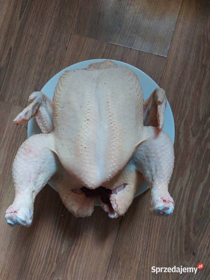 Sprzedam kurczaki brojlery Złotków