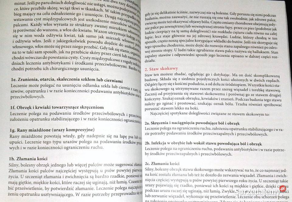 Gdy pies choruje Tom 12 Nico Maritz Chełm sprzedam