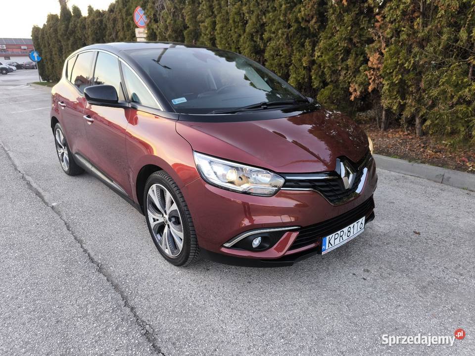 Renault Scenic Salon Polska 46000km Scenic Motoryzacja Proszowice
