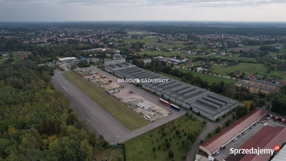 Lokal Szczucin Piłsudskiego 94500m2 687zł/m2 małopolskie