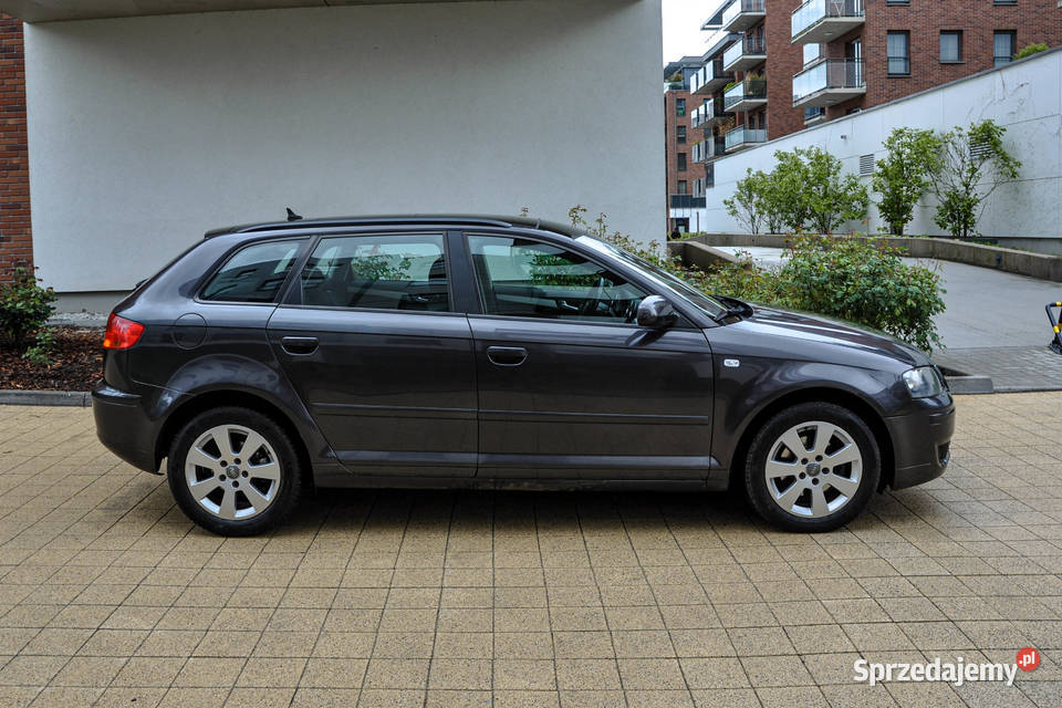 Audi A3 19TDI 2007 r Bezwypadkowy Panorama dolnośląskie Wrocław