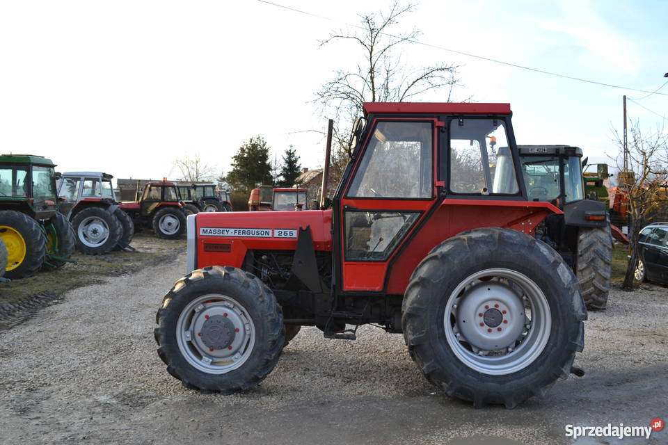 Massey Ferguson 265 ursus 3514 zetor john raty Ciągniki Brzeziny