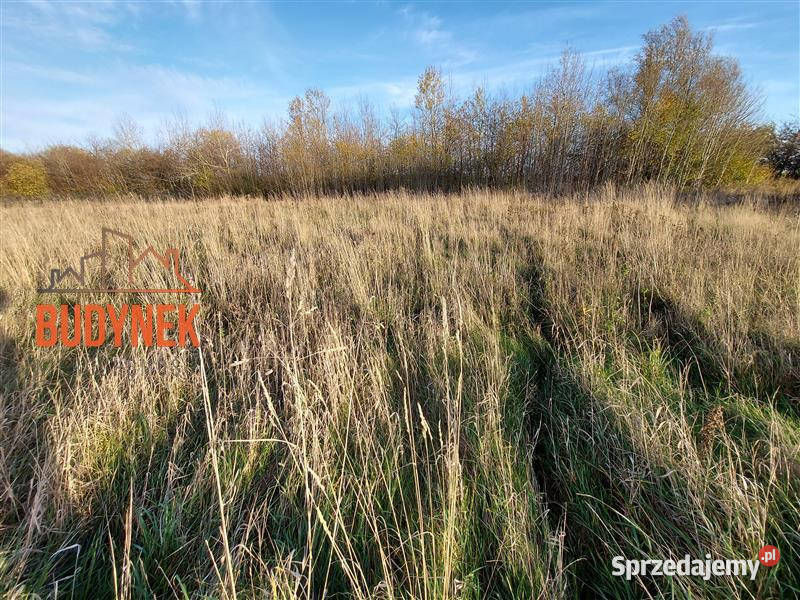 Działka budowlana Kopań 64m