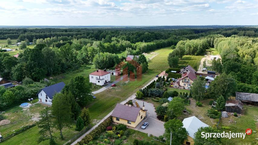 sprzedaży gruntu 957m2 Czarna Sędziszowska utwardzona sprzedam