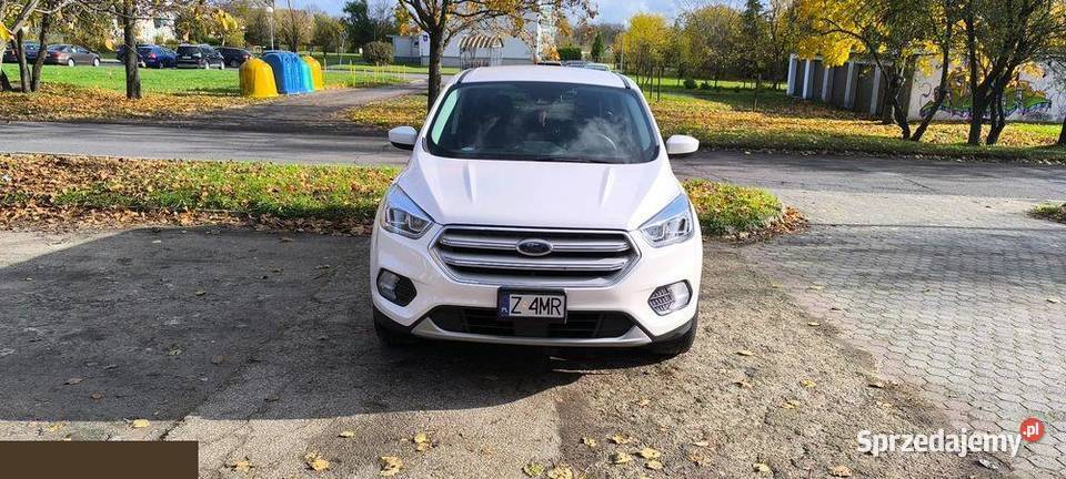 Ford Escape 15 benzyna 182 2019r napęd 4x4AWD automatyczna Barlinek