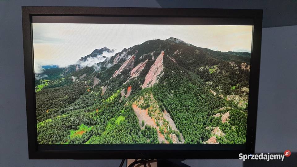 Monitor Dell P2210F 22HDMI DisplayPort VGA DVI D-SUB Komputery i Akcesoria Lublin