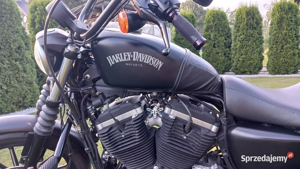 HarleyDavidson Iron Sportster Harley-Davidson łódzkie Wieluń