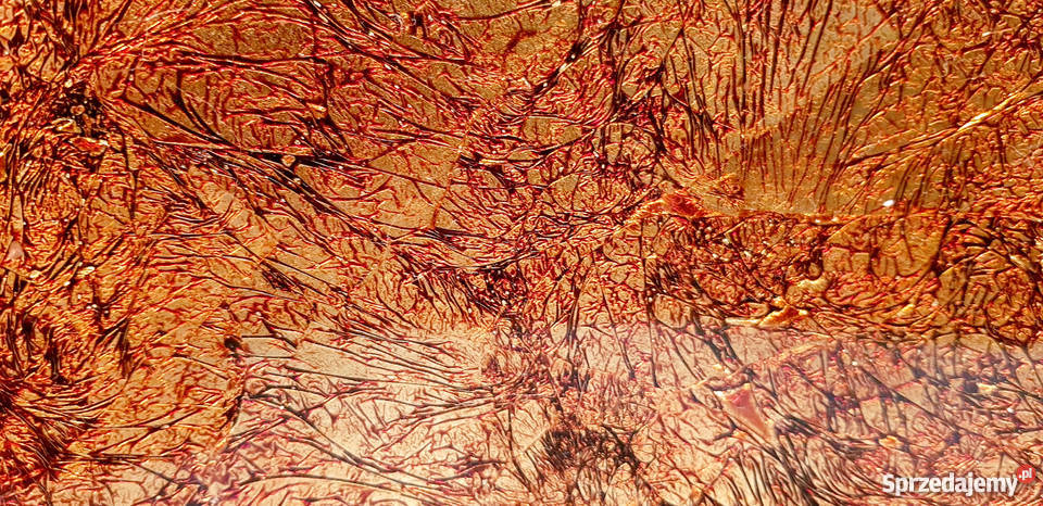 Mielke umywalka nablatowa szklana okrągła fi