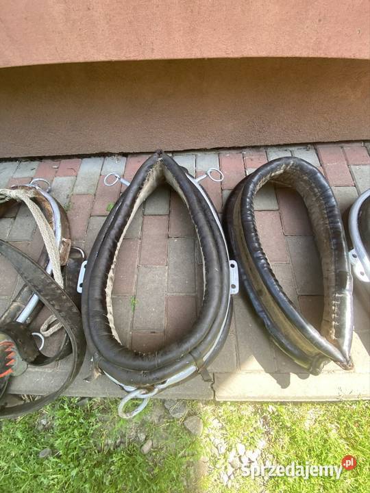 sprzedam homonty konia Urzejowice