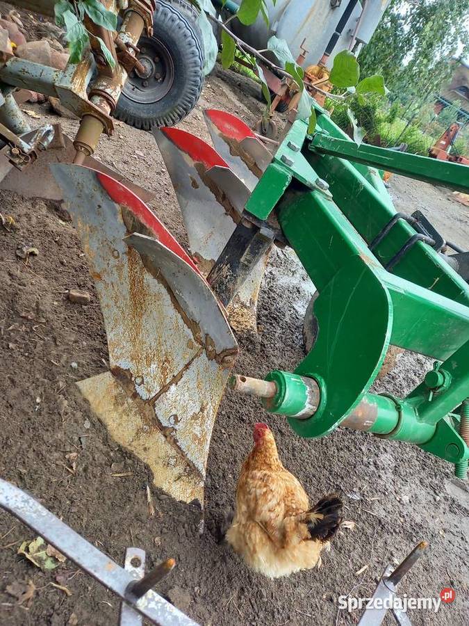 Pług 3 na wysokiej słupicy Biała Podlaska