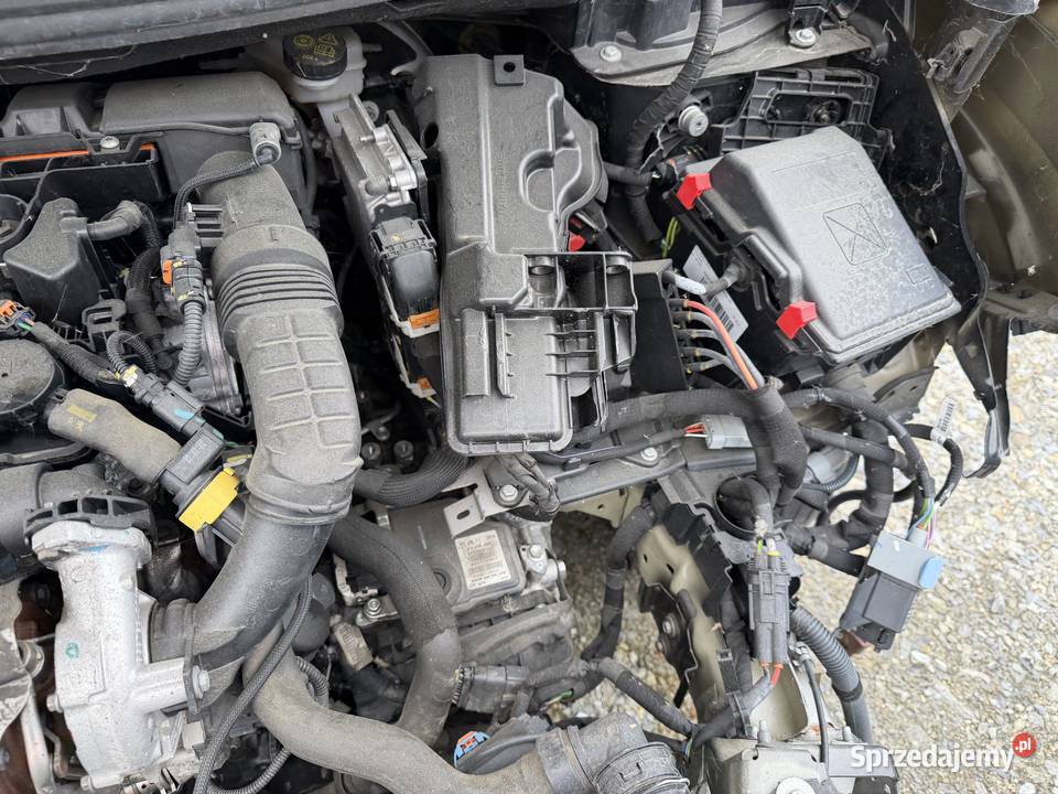 Peugeot 3008 BlueHDi 130 StopStart EAT8 Allure Prudnik