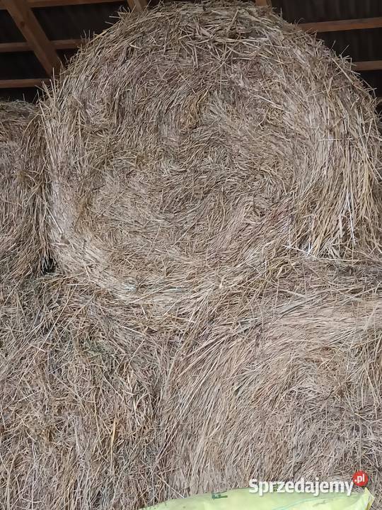 Sprzedam siano mazowieckie
