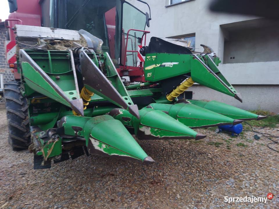 Kemper cornstar 206 Żory