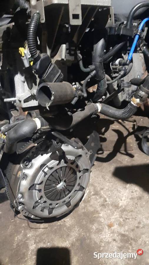 silnik 79 12 Fiat Ford 169A4000 dolnośląskie Korzeńsko sprzedam