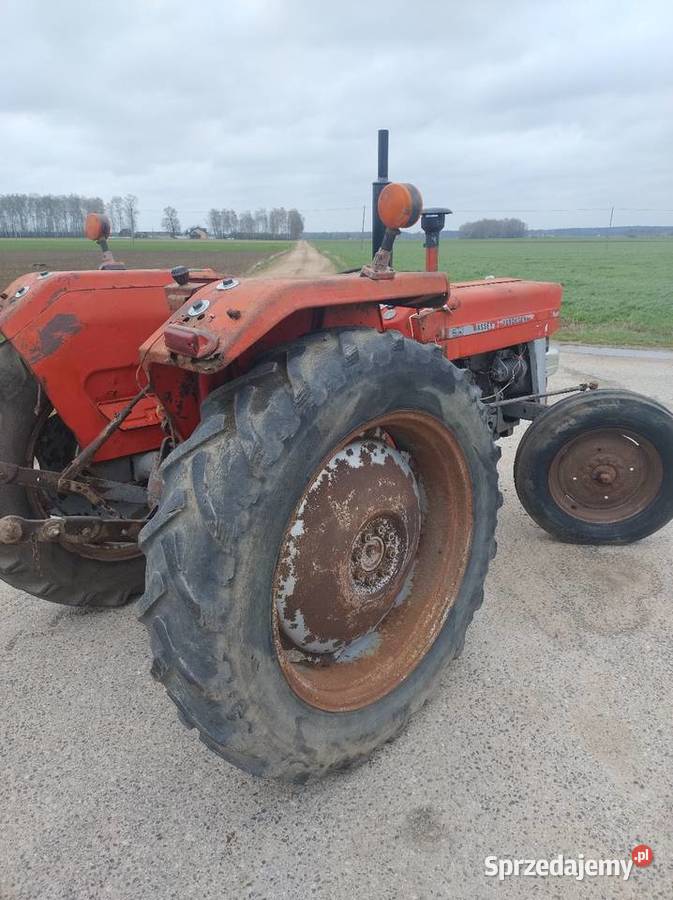 Massey Ferguson 240 i 135 zamiana Przasnysz