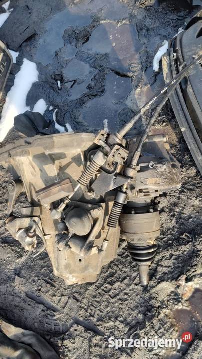 Manualna skrzynia biegów Alfa Romeo 147 19 JTD osobowe Książ Wielkopolski