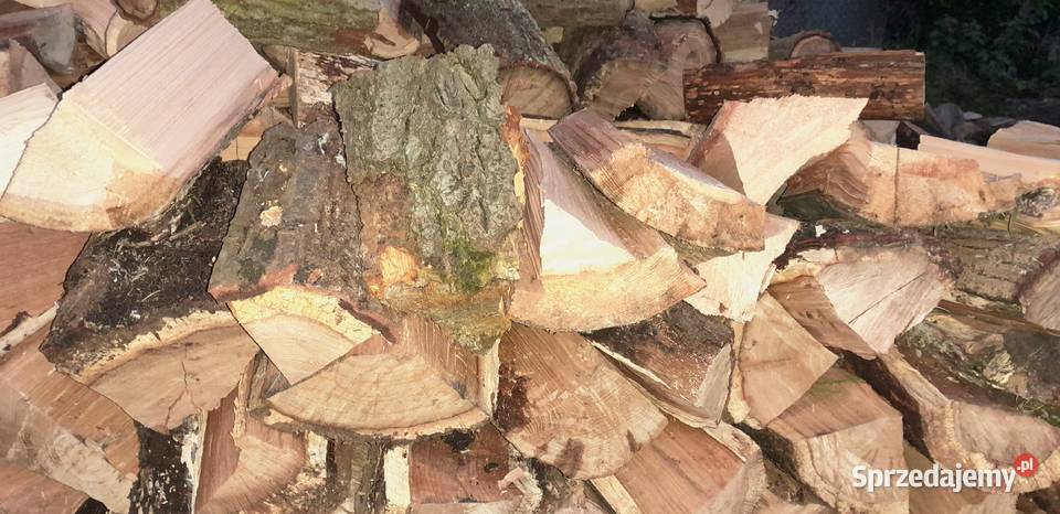 Drzewo opałowe Pozostałe Trzebnica