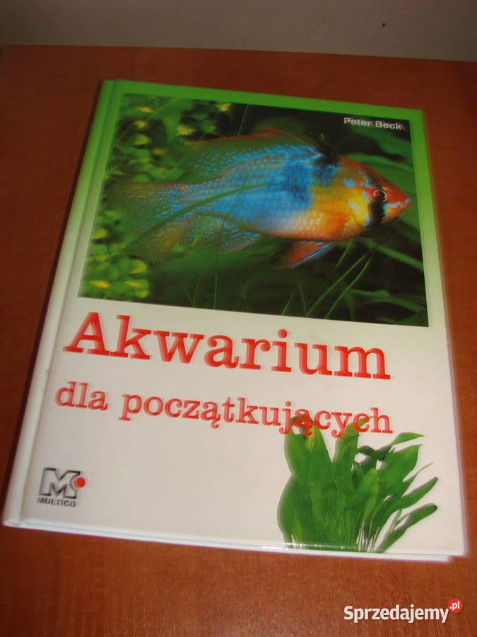 Akwarium początkujących P Beck pomorskie