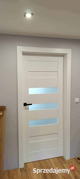 Drzwi z Obudową Starych Futryn Metalowych