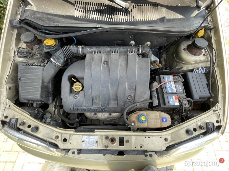 FIAT ALBEA 12 16v 2004 100 bez rdzy Częstochowa