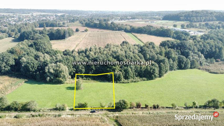 Działka 2780m2 Syrynia
