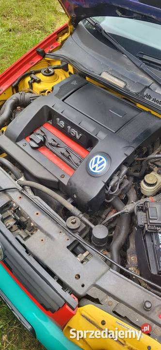 Volkswagen Polo Harlekin GT116VHellaGreen Hofele