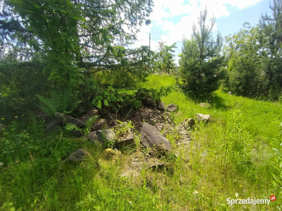 Grunt Grabownica Starzeńska 8500m2 podkarpackie