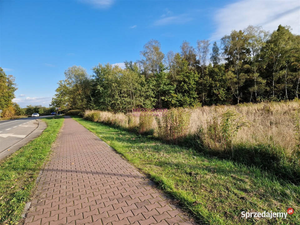 Grunt 6275m2 Gorzyczki handlowo-usługowa