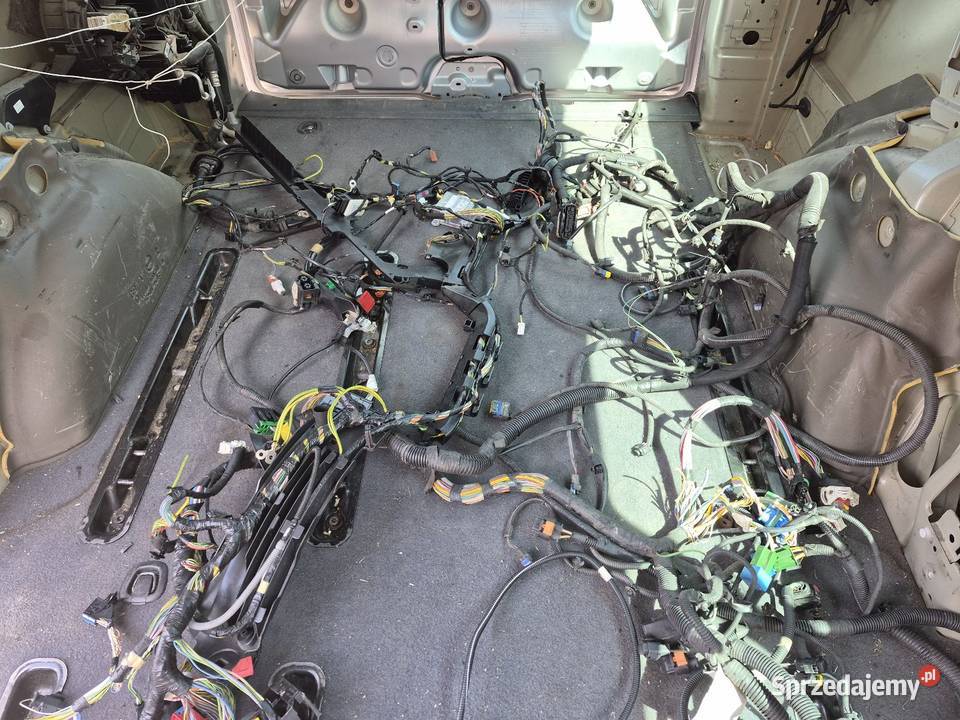 Scudo jumpy expert proace części