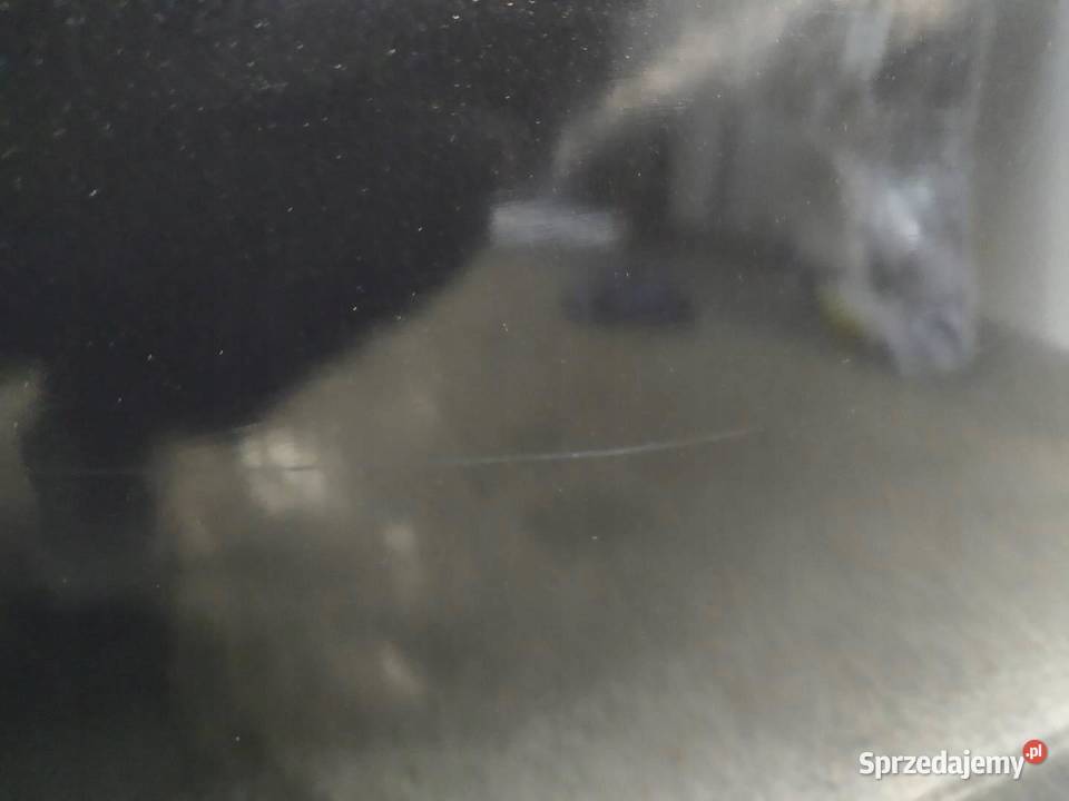 DRZWI LEWE PRZÓD Z22C SEDAN Opel Astra IV 2009 sprzedam