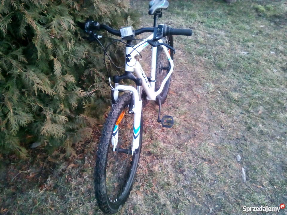Sprzedam rower górski muddyfox Górskie, MTB Złotki
