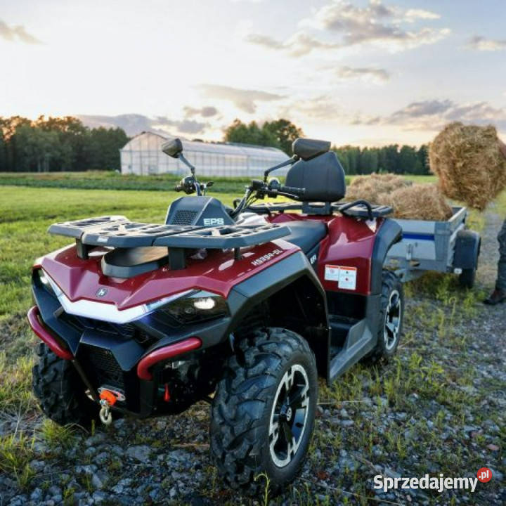 HISUN Guardian 750 Hisun Guardian 750L Barlinek sprzedam