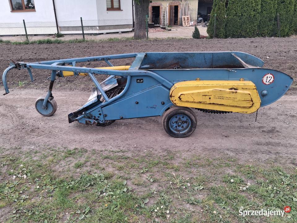 Kopaczka elewatorowa kopaczka do ziemniaków Rzgów